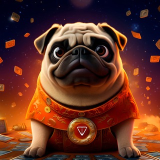 Крипто новости TON coin 🪙 Crypto news TON coin 🪙